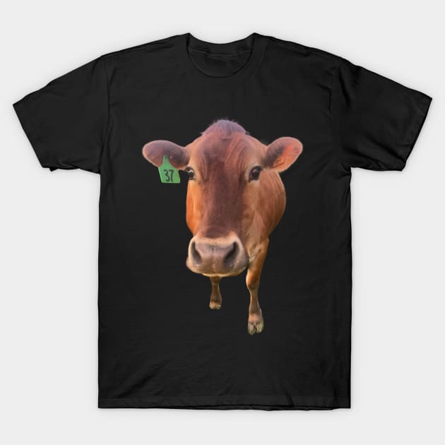 Jersey Cow T-Shirt by chiefOP